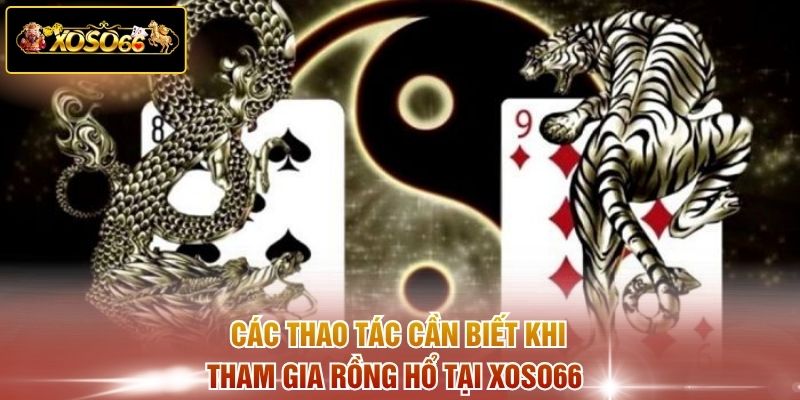 Các thao tác cần biết khi tham gia Rồng Hổ tại XOSO66