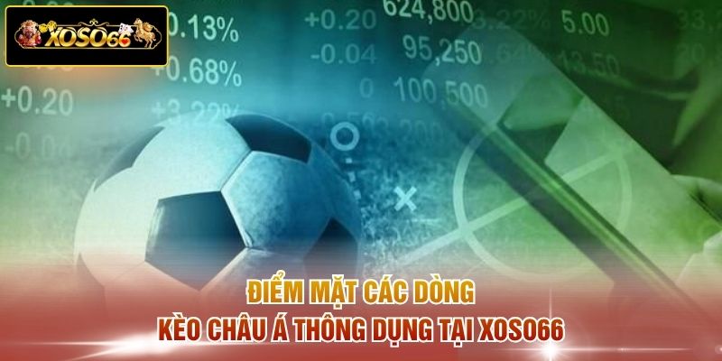 Điểm mặt các dòng kèo châu Á thông dụng tại XOSO66