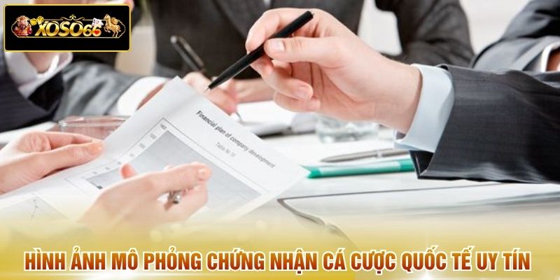 Hình ảnh mô phỏng chứng nhận cá cược quốc tế uy tín
