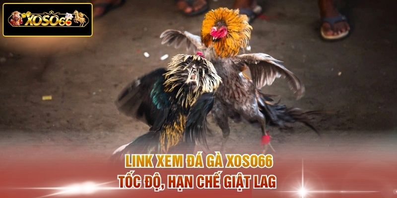 Link xem đá gà XOSO66 tốc độ, hạn chế giật lag