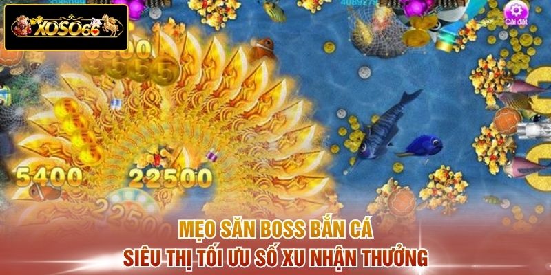 Mẹo săn boss bắn cá Siêu Thị tối ưu số xu nhận thưởng 
