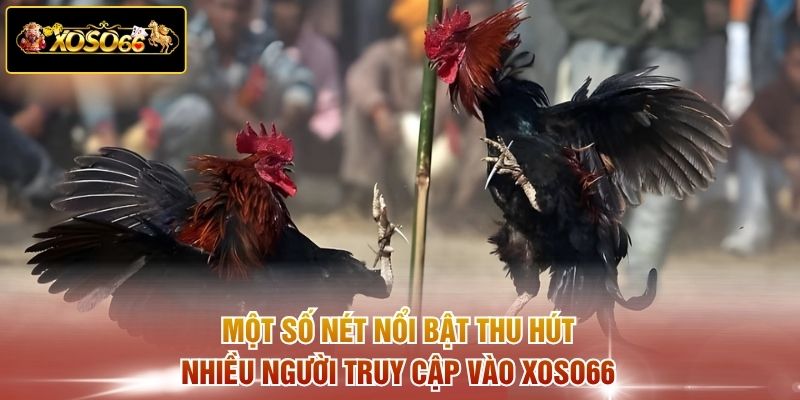 Một số nét nổi bật thu hút nhiều người truy cập vào XOSO66