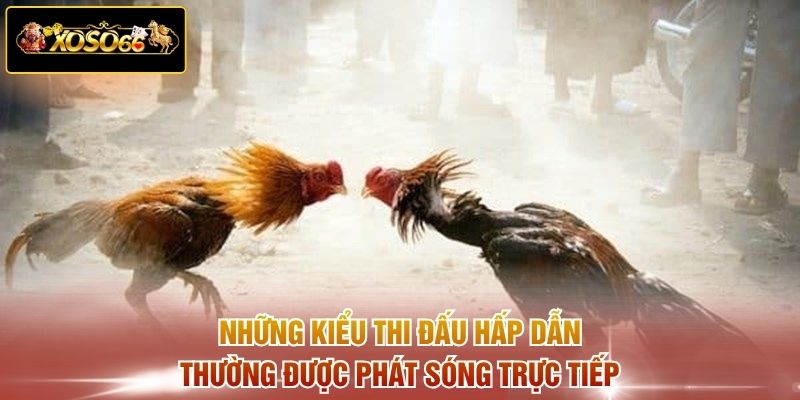 Những kiểu thi đấu hấp dẫn thường được phát sóng trực tiếp 