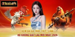 Xem Đá Gà Trực Tiếp - Link HD Không Giật Lag Mới Nhất 2026